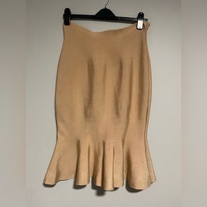 Fit and Flare Skirt